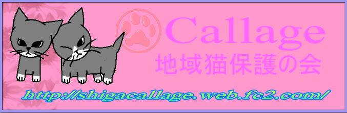 Callage